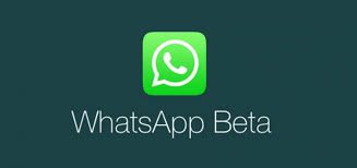 Whatsapp web videochiamata