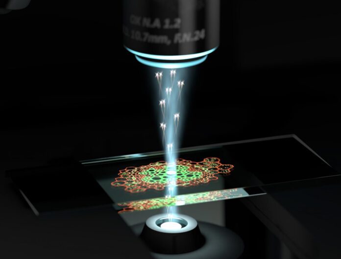 microscopio quantistico